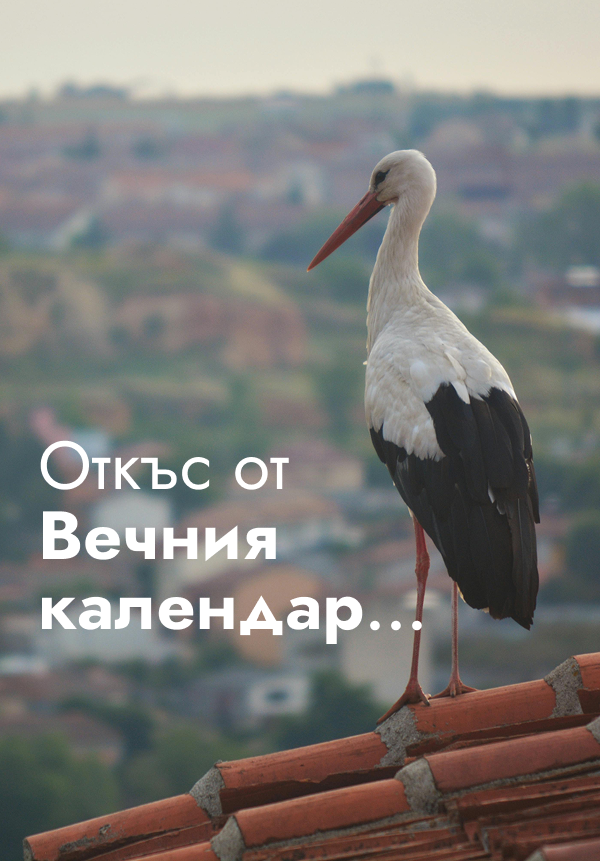 Откъс от „Вечния календар“…