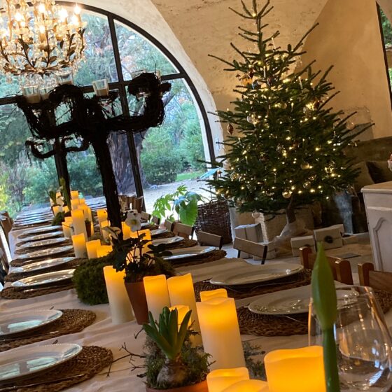 Коледни нюанси