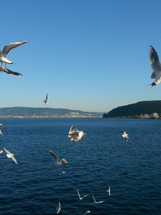 Добрите идеи