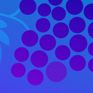 Здравей, приятелю!