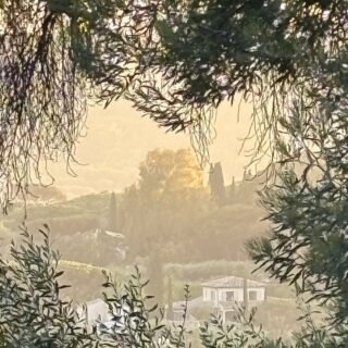 Коледни нюанси