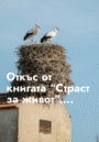 Откъс от книгата „Страст за живот“
